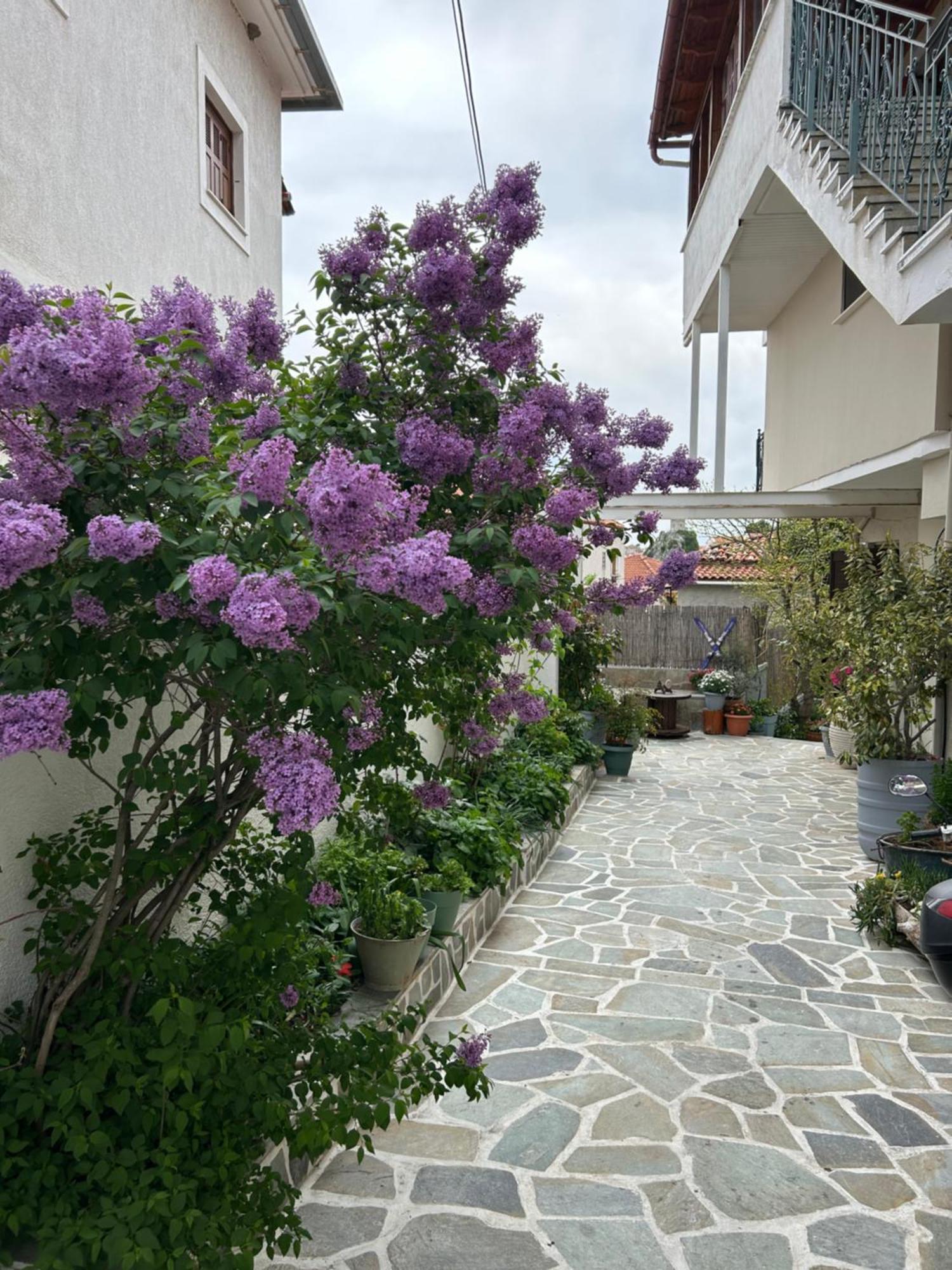 Guesthouse Doma Est 1991 Arachova Exterior photo